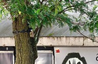 Update: Suspicious box found strapped to tree next to Syracuse City Hall; building evacuated