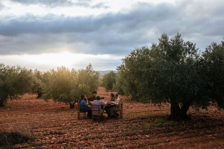 I finally ate Sardinia’s maggot cheese