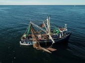 Impone EU embargo comercial contra 21 pesquerías de alto riesgo de México