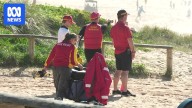 NSW government suspends trial to remove shark nets at three beaches after fatal attack