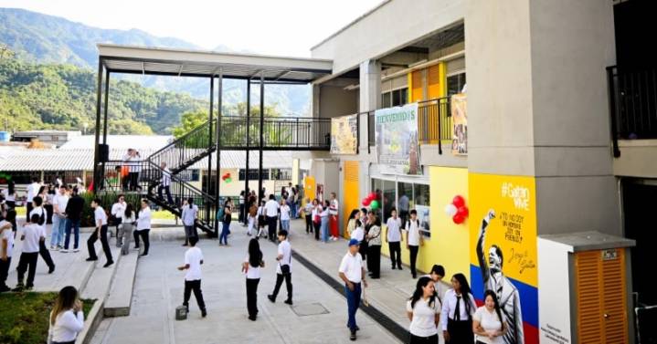 Así funciona la ruta de acción para situaciones de conducta suicida en los colegios de Ibagué
