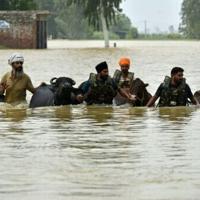 Villages marooned after deadly floods in India's Punjab