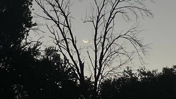 Check out photos of the cool looking morning sky, planet conjunction