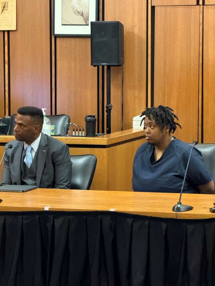 Insanity defense expected at trial in North Olmsted child stabbing