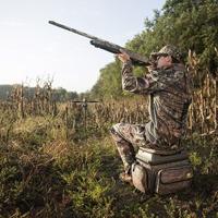 Dove hunting season starts this week in Kansas