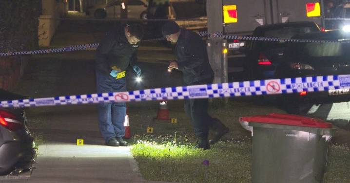 Merrylands shooting: Bullets riddle Sydney home with women and teenager inside