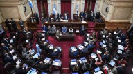 El Senado debate el veto de Javier Milei a la Ley de Emergencia en Discapacidad