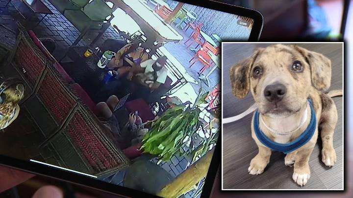 Bradenton business catches man on security footage hitting 9