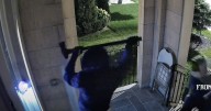 Vaughan home invasion: police release video of suspects