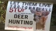 Backyard deer hunt sparks controversy in Saddle River, New Jersey