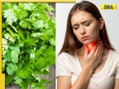 Coriander seeds can help regulate your Thyroid: What are top 3 benefits