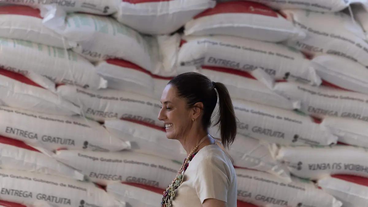 Estos son los programas que apoyan a los agricultores, conócelos