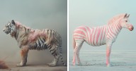 25 Beautiful But Unsettling Visions Of The Natural World By Jim Naughten