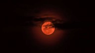 Luna de Sangre 2025: todo lo que debes saber del eclips...