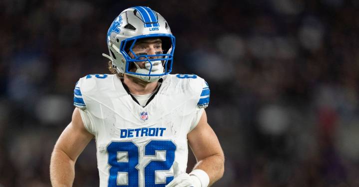 Lions promote TE to active roster, sign vet DL to practice squad