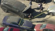 Singer's Tesla ticketed 11 days before 15-year-old girl found dismembered in trunk