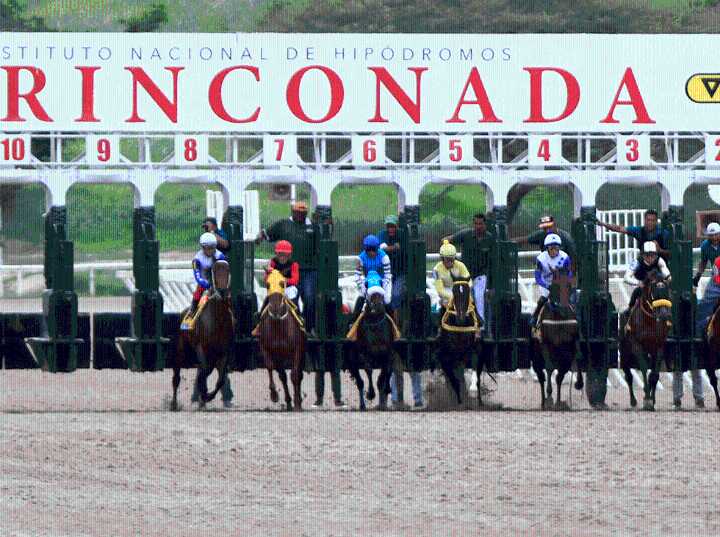 INH: Resultados del Hipódromo La Rinconada, domingo 28