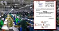Congreso: proponen derogar ley Chlimper 2.0 que reduce impuestos a grandes agroexportadoras por 10 años