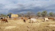 ¿Cuánto ha invertido el Gobierno de Sonora para el abasto de agua?