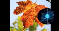 Termina el verano e inicia el otoño con equinoccio hoy lunes