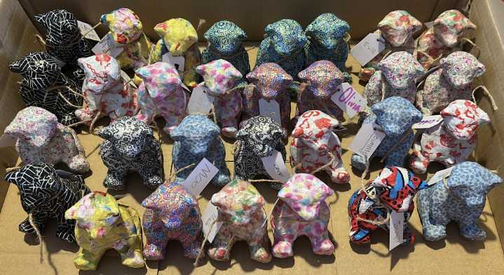 Pack of Bears arrive in Kenilworth  | Local News 