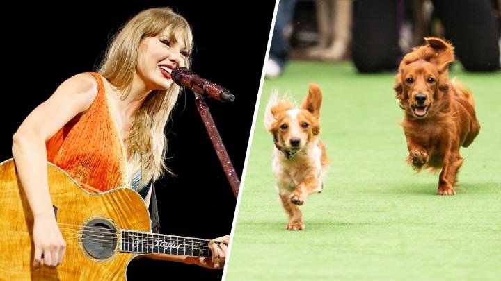 List: Swiftie ‘Showgirl' parties and more to do in the DC area through Oct. 5