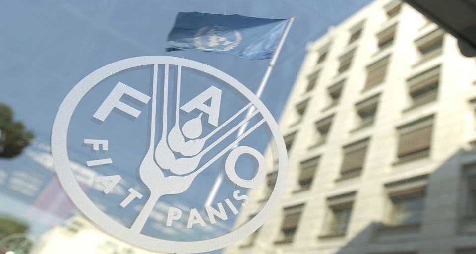 FAO: alimentos se encarecen 6,9% en un año