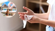 Cómo ahuyentar a las plagas de casa usando toallitas desinfectantes: un truco casero efectivo