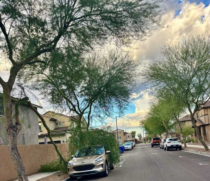 Scottsdale gets soaked by remnants of tropical storm