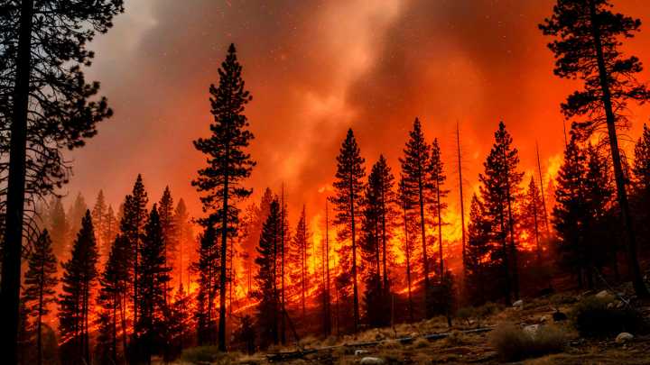 “Not Again”: Yet Another U.S. National Park Is Ablaze Due To Lightning Strikes