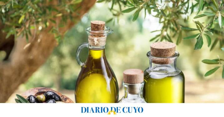 Un aceite de oliva virgen extra de San Juan fue mencionado entre los mejores del mundo en el Concurso Internacional Mario Solinas