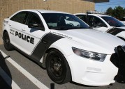 Man killed in logging accident