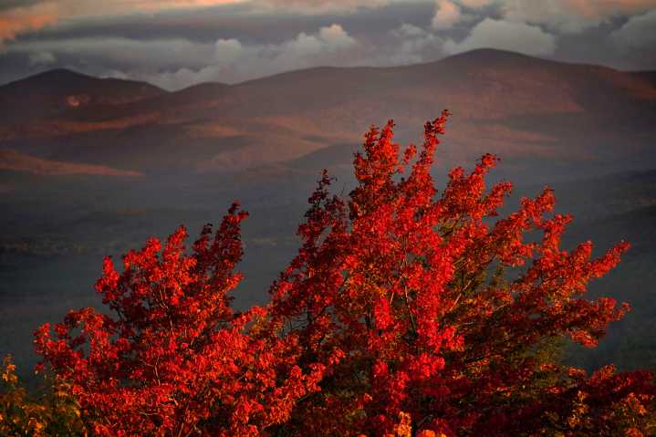 Morning Update: What you need to know in Maine today
