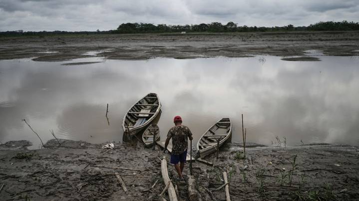 Well-preserved Amazon rainforest on Indigenous lands can protect people from diseases, study finds