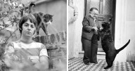 53 Vintage Cat Photos Featuring Celebrities, Historical Moments, And Pure Feline Magic