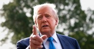Karoline Leavitt Tries to Sell Donald Trump as a Fitness Guy With ‘MAFA’