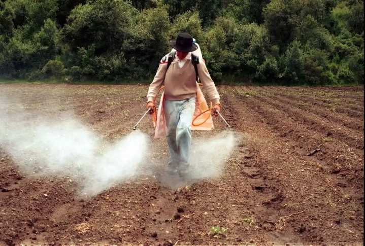 CNA respalda prohibición de 35 plaguicidas; pide transición ordenada en el campo