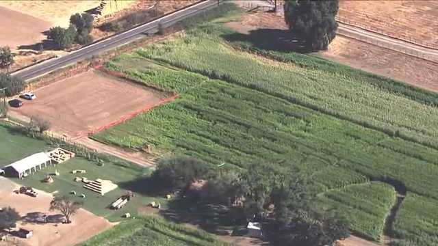 2025 full list | Pumpkin patches near Sacramento