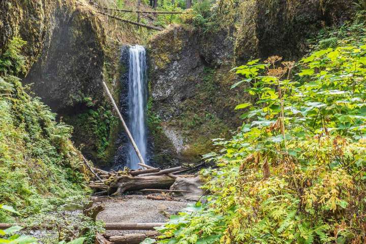 Missing Hiker Found Dead Called His Dad for Help After Getting 'Lost' on Trail