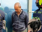 Envían a la cárcel a hombre señalado de abusar sexualmente de una perra en Ciudad Bolívar