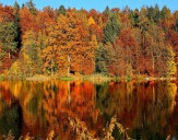 Old Farmer’s Almanac Predicts Amazing Fall Weather In New York