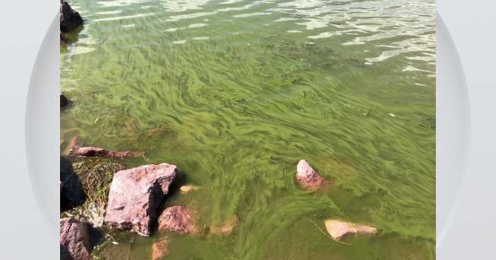 Harmful algae bloom spotted in Boulder Reservoir, city asks residents to stay out of the water