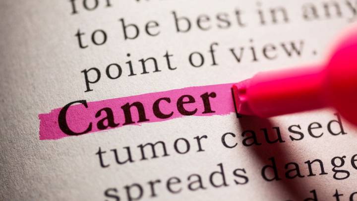 Cancer deaths to surge 75% by 2050; India’s cancer rates rise 26.4%, among highest globally: Lancet
