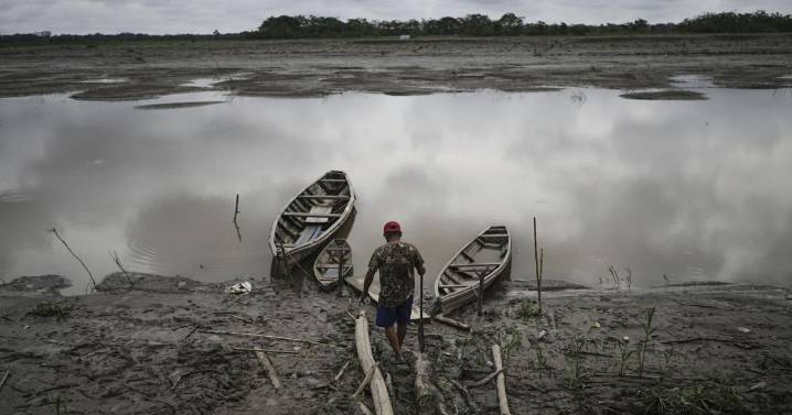 Well-preserved Amazon rainforest on Indigenous lands can protect people from diseases, study finds