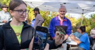 Bird banding can serve as entrée into conservation