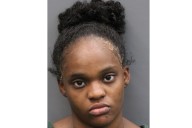 Mom Recorded 'Last Goodbye' Before Allegedly Trying to Drown Kids