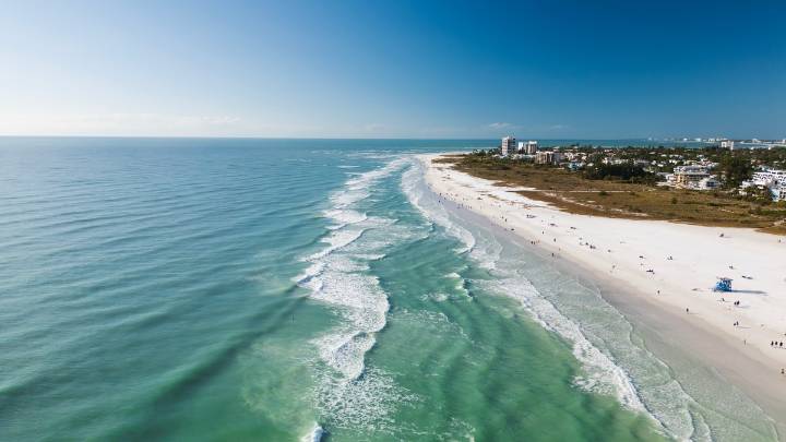 Tiburón hiere a un niño de 8 años mientras buceaba en los Cayos de Florida