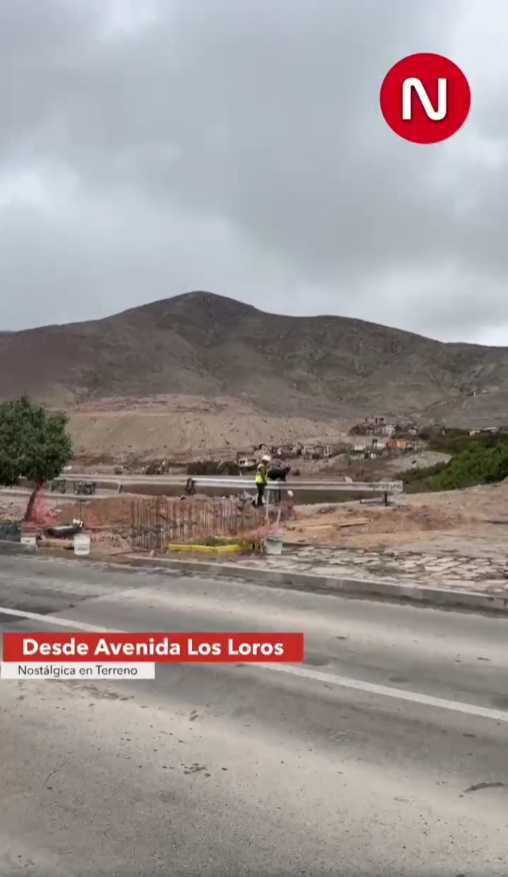 Avanzan trabajos para recuperar calzada en Avenida Los Loros