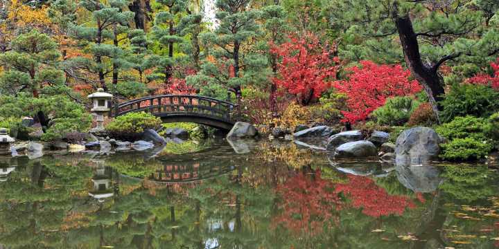 HGTV just named the most beautiful garden in Illinois—and you probably won’t guess it