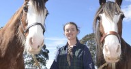 Animals feature in new Sovereign Hill tours